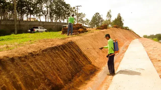Gramas em Santos